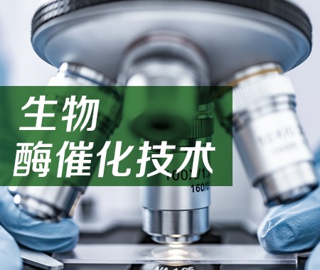 生物酶催化技術(shù)2 拷貝.jpg 生物酶催化技術(shù)2 拷貝.jpg