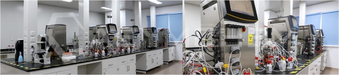 6372386154262109377393475副本.jpg 6372386154262109377393475副本.jpg