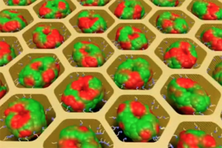 屏幕快照 2019-11-22 上午10.21.25.png 屏幕快照 2019-11-22 上午10.21.25.png