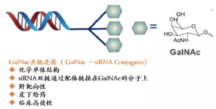 屏幕快照 2020-01-13 下午2.56.36.png
