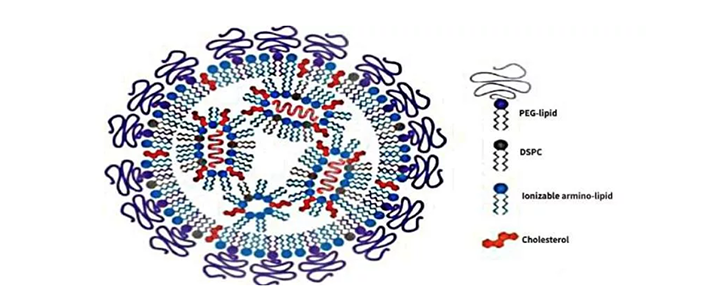 屏幕快照 2020-01-13 下午2.58.23.png