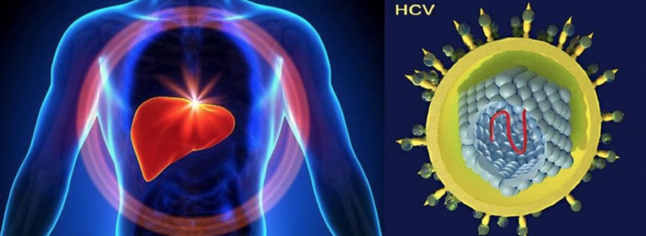 屏幕快照 2020-05-12 下午1.52.21.png 屏幕快照 2020-05-12 下午1.52.21.png