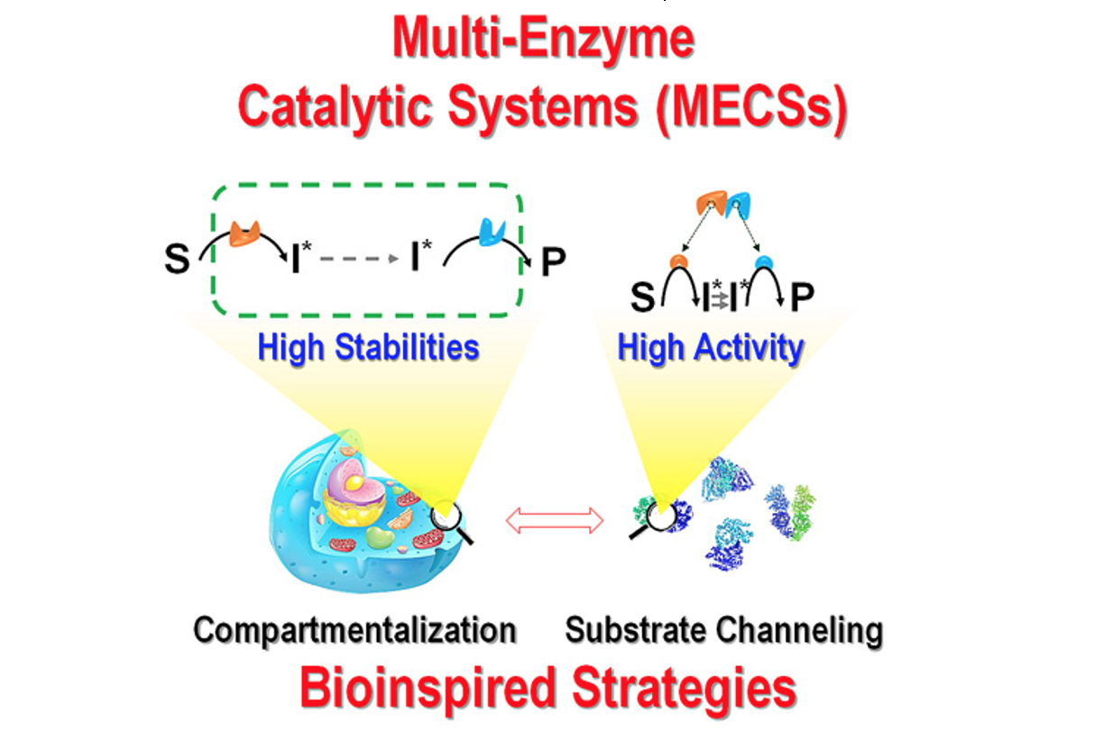 屏幕快照 2020-11-06 上午11.10.26.png 屏幕快照 2020-11-06 上午11.10.26.png