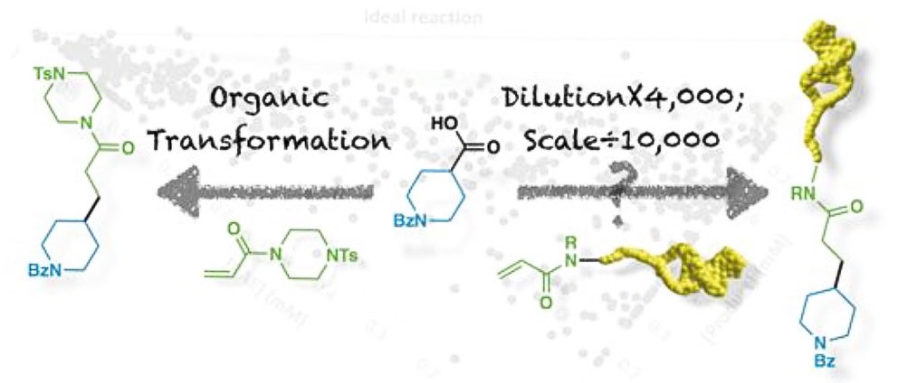 2018-1.jpg 2018-1.jpg