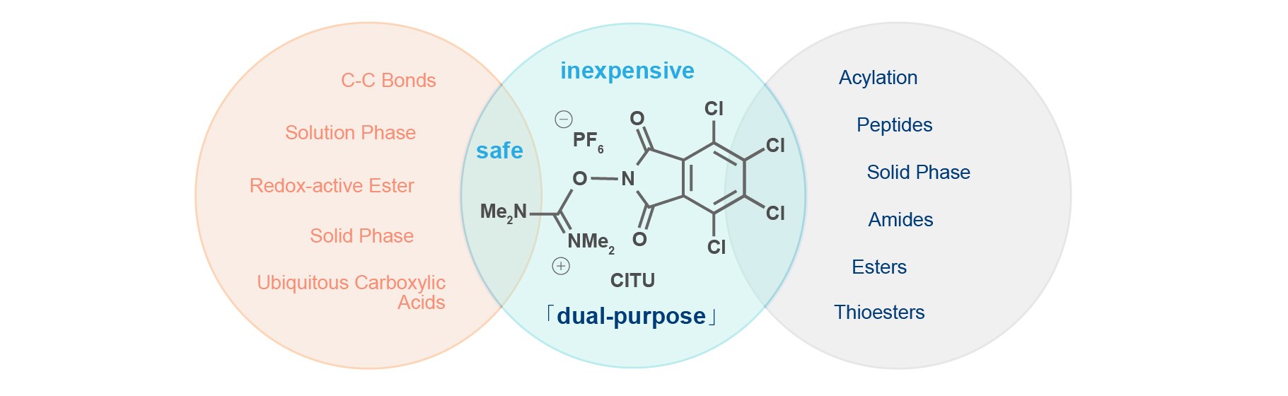 2017-01.jpg 2017-01.jpg