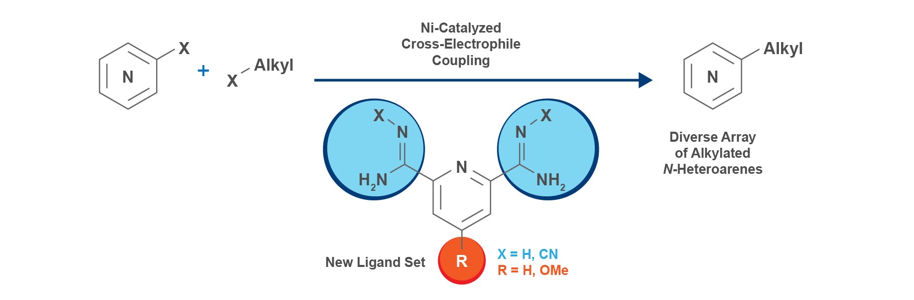 2017-05.jpg 2017-05.jpg