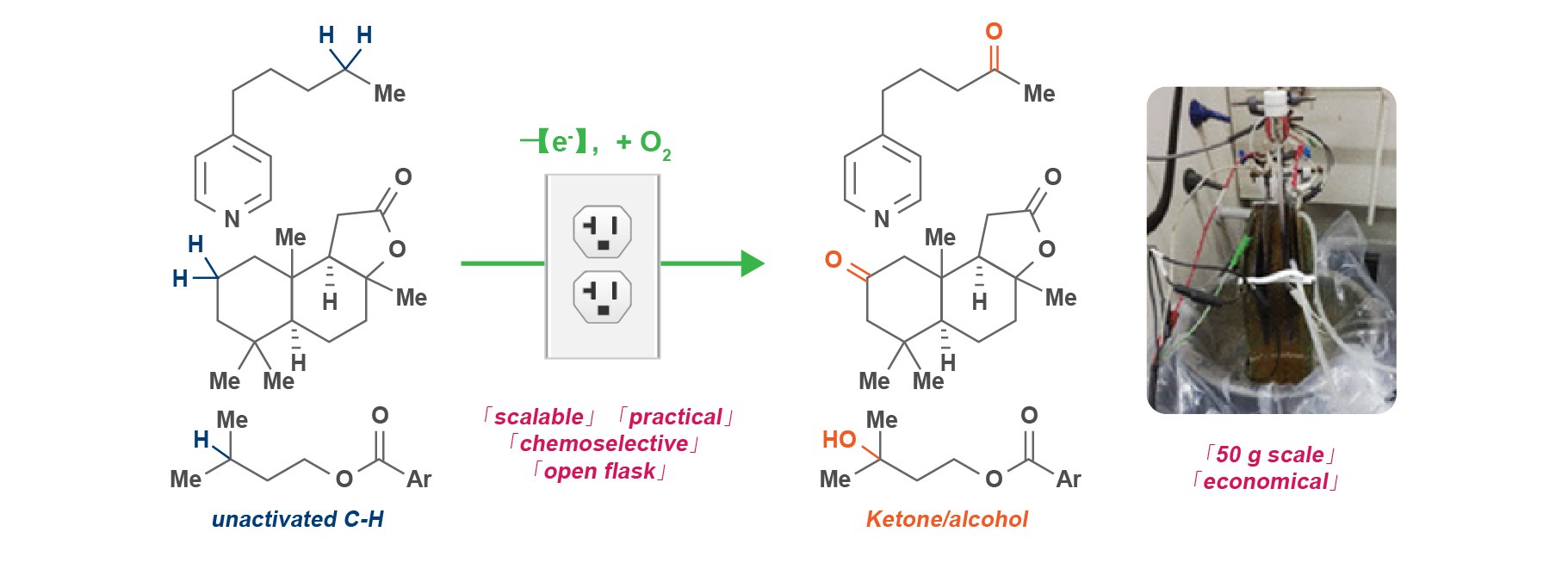 2017-06.jpg 2017-06.jpg