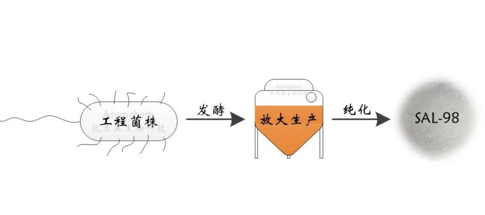 圖片.png 圖片.png