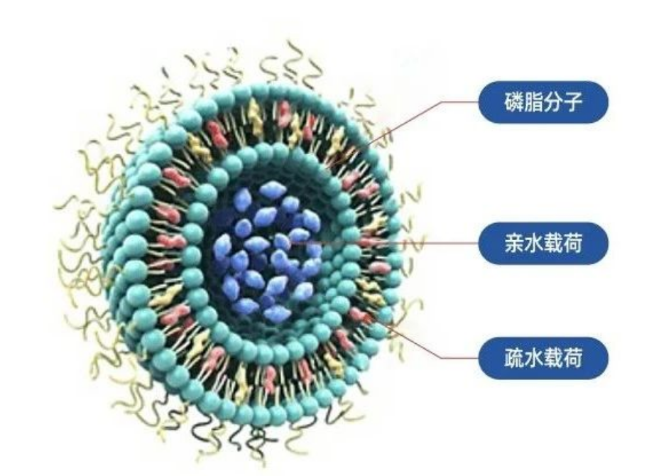 圖片.png 圖片.png